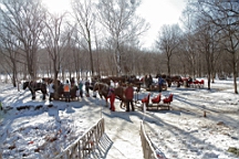 2015-02-015903.JPG