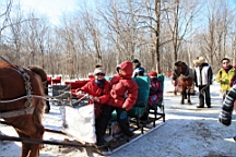 2015-02-015905.JPG