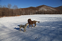 2015-02-015911.JPG
