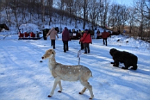 2015-02-015912.JPG
