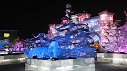 2015-02-015951.JPG