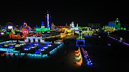 2015-02-015963.JPG