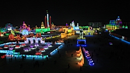 2015-02-015964.JPG