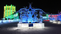 2015-02-015971.JPG