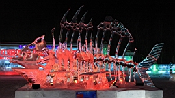 2015-02-015973.JPG