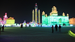 2015-02-015976.JPG