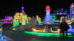 2015-02-015991.JPG
