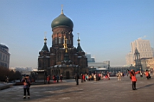 2015-02-026032.JPG