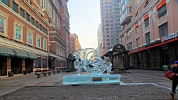 2015-02-026038.JPG