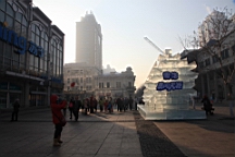 2015-02-026041.JPG