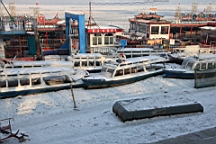 2015-02-026050.JPG