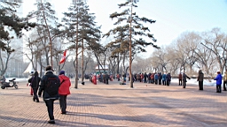 2015-02-026054.JPG