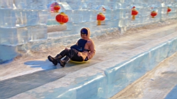 2015-02-026071.JPG