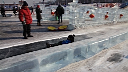 2015-02-026083.JPG