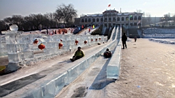 2015-02-026088.JPG