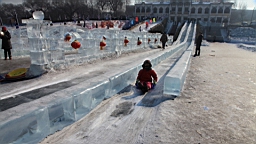 2015-02-026092.JPG