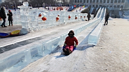 2015-02-026093.JPG