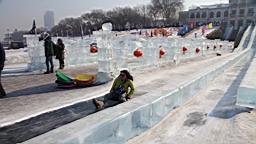 2015-02-026130.JPG