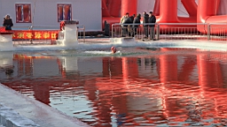 2015-02-026143.JPG