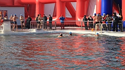2015-02-026150.JPG