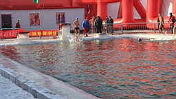 2015-02-026176.JPG