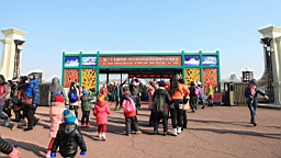 2015-02-026193.JPG