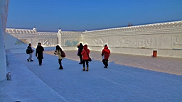 2015-02-026214.JPG
