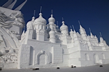 2015-02-026216.JPG