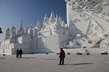 2015-02-026217.JPG