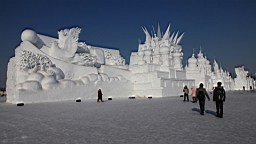 2015-02-026220.JPG