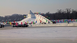 2015-02-026221.JPG