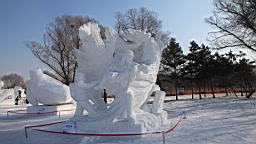 2015-02-026226.JPG