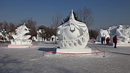 2015-02-026227.JPG