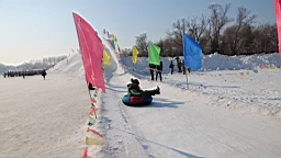 2015-02-026234.JPG