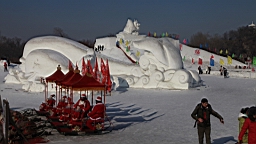 2015-02-026243.JPG
