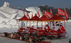 2015-02-026245.JPG
