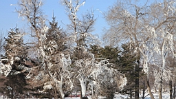 2015-02-026248.JPG
