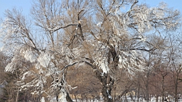 2015-02-026249.JPG