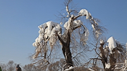 2015-02-026250.JPG