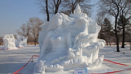 2015-02-026252.JPG