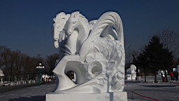 2015-02-026253.JPG