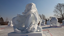 2015-02-026254.JPG