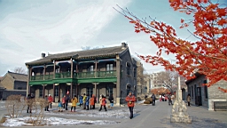 2015-02-036329.JPG