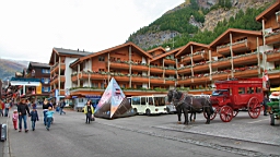 2014-09-177727.JPG