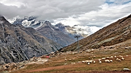 2014-09-187764.JPG
