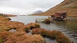 2014-09-187805.JPG