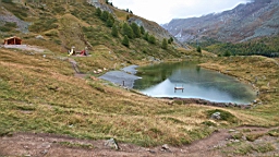 2014-09-187822.JPG