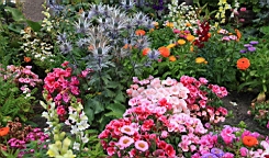 2014-09-218256.JPG