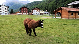 2014-09-218276.JPG