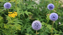2014-09-218316.JPG